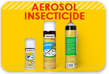 aerosol insecticide