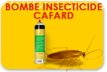 insecticide cafard