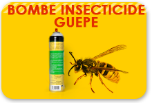 insecticide guepe