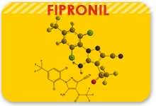 fipronil