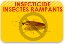 insecticide pour insectes rampants