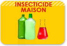 insecticide maison