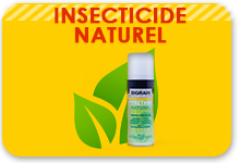 insecticide naturel